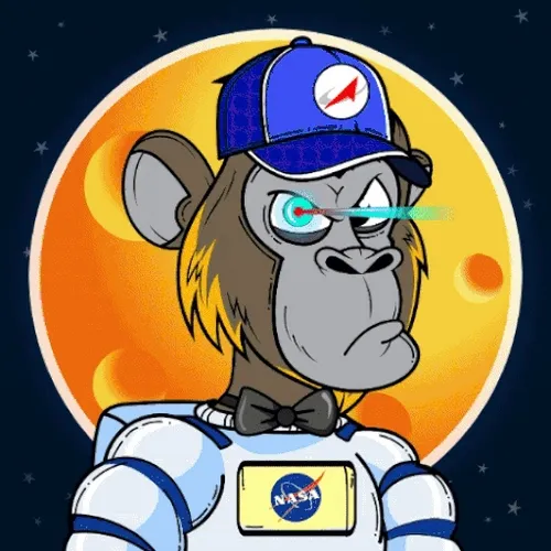 Apes Of Space