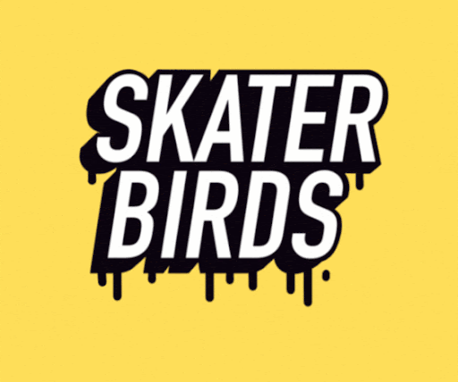 SkaterBirds: Skatepark