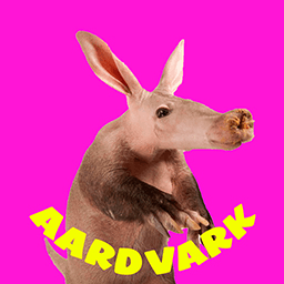 Aardvarks - Non Fungible Aardvarks