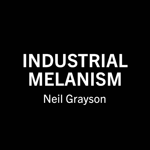 Industrial Melanism by Neil Grayson