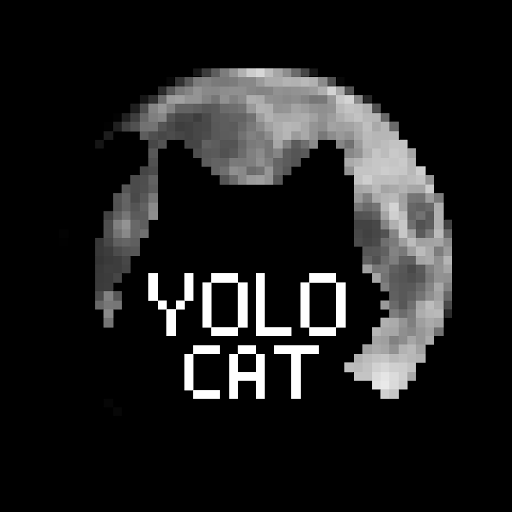 YOLO-Cat-Club